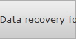 Data recovery for McLean data